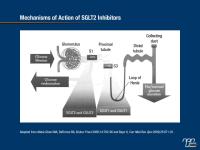 SGLT2 Inhibitors: A Multi-Pronged Tool Against Type 2 Diabetes